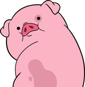 Meet your Posher, Elena